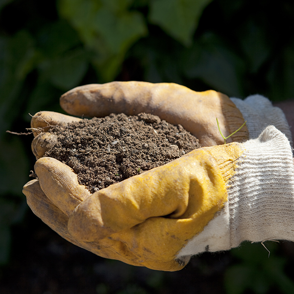 Searles How to test pH level in garden soils